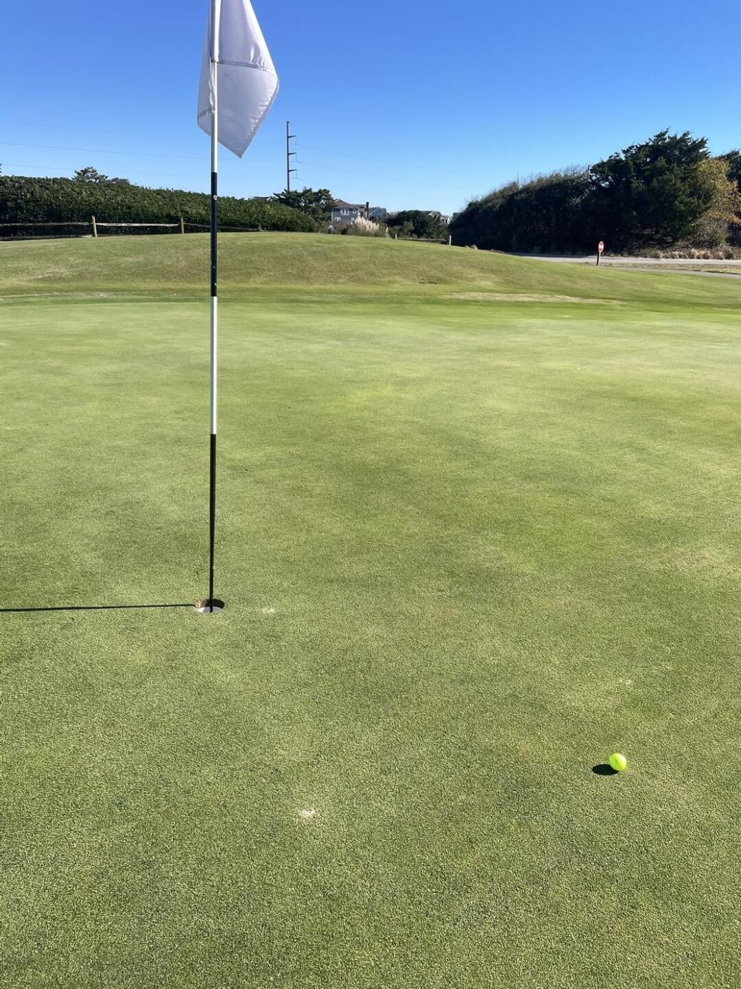 (Photo submitted by jfernon on 12/05/2025)