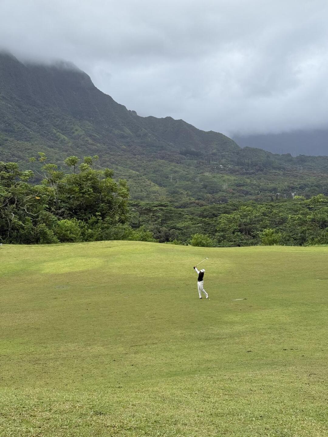 (Photo submitted by aldana90805 on 03/19/2025)