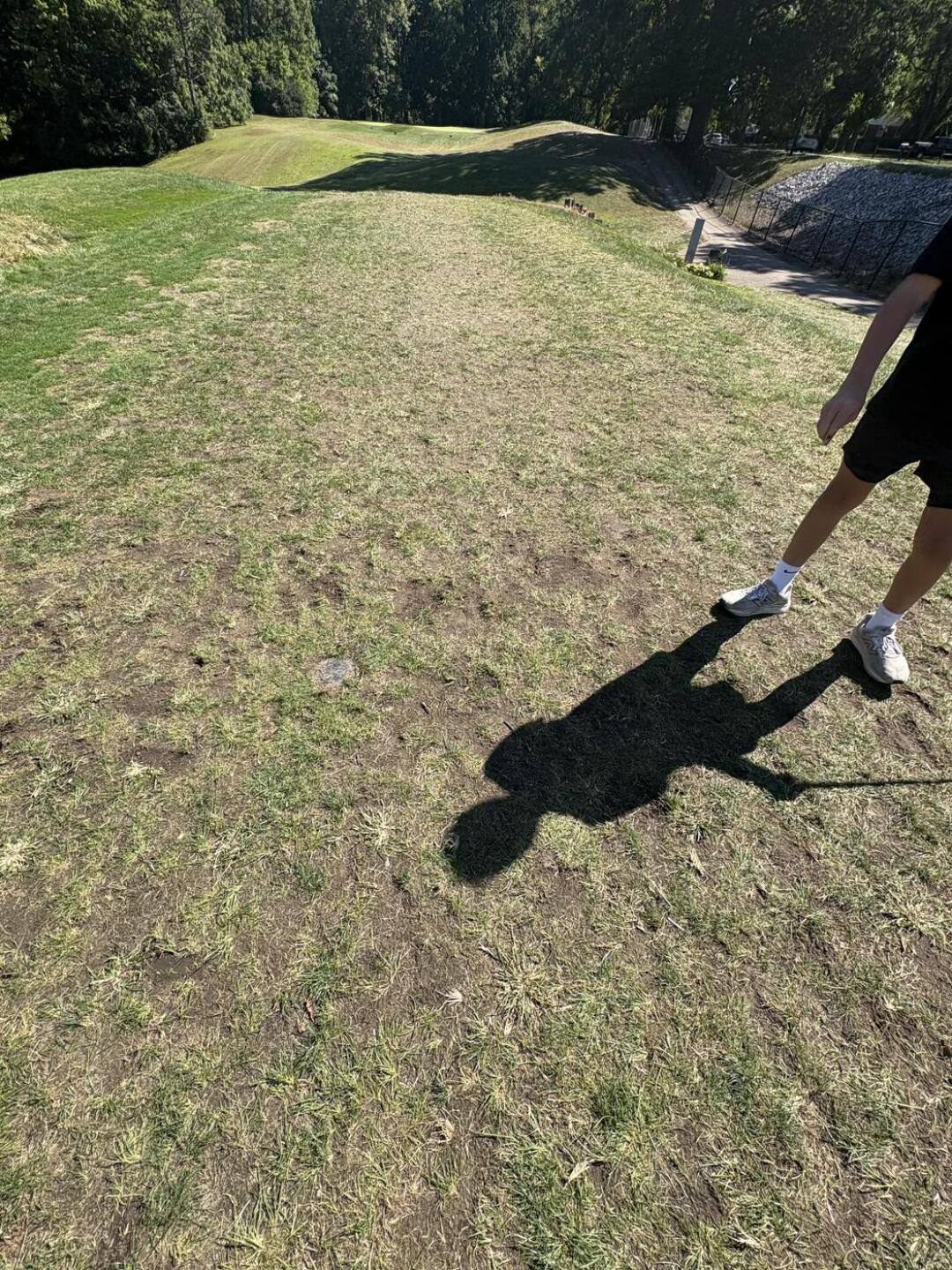 (Photo submitted by hgu0wxzYYj5vpgGRlJxN on 09/01/2025)