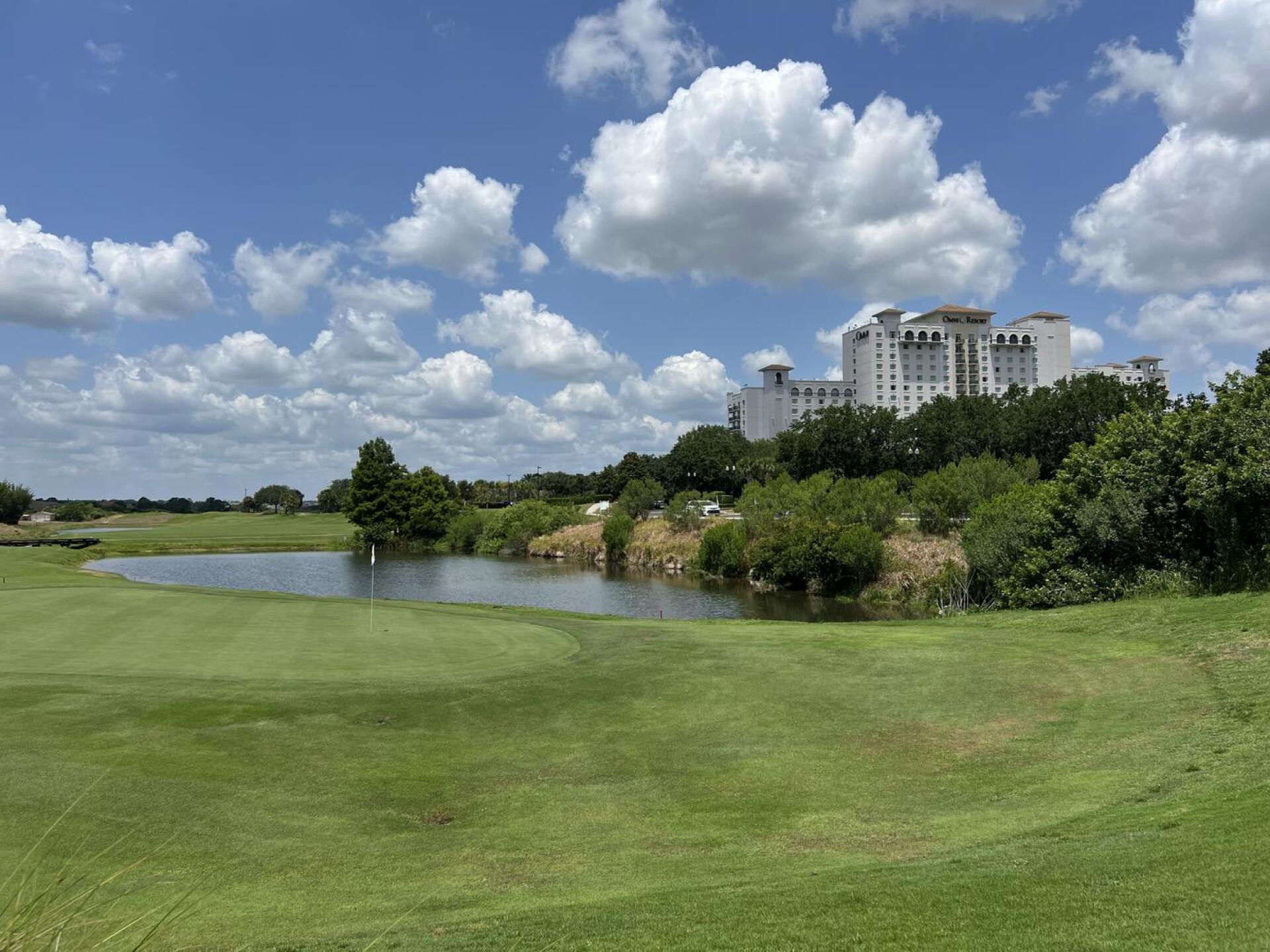 (Photo submitted by Mark9119156 on 05/08/2024)