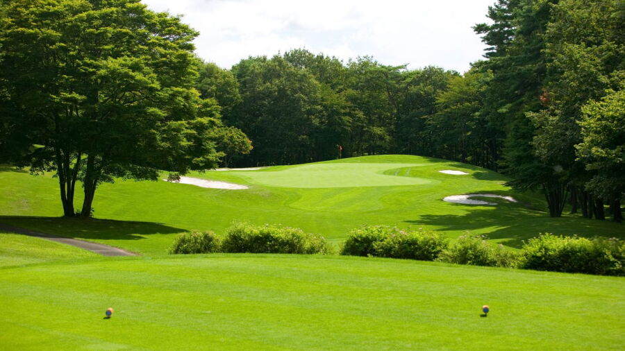 Maple CC: #12