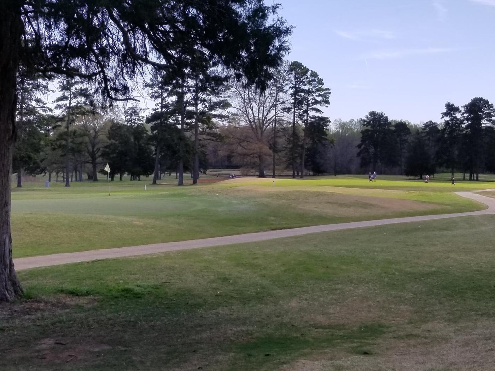 (Photo submitted by syncgolf on 03/23/2020)