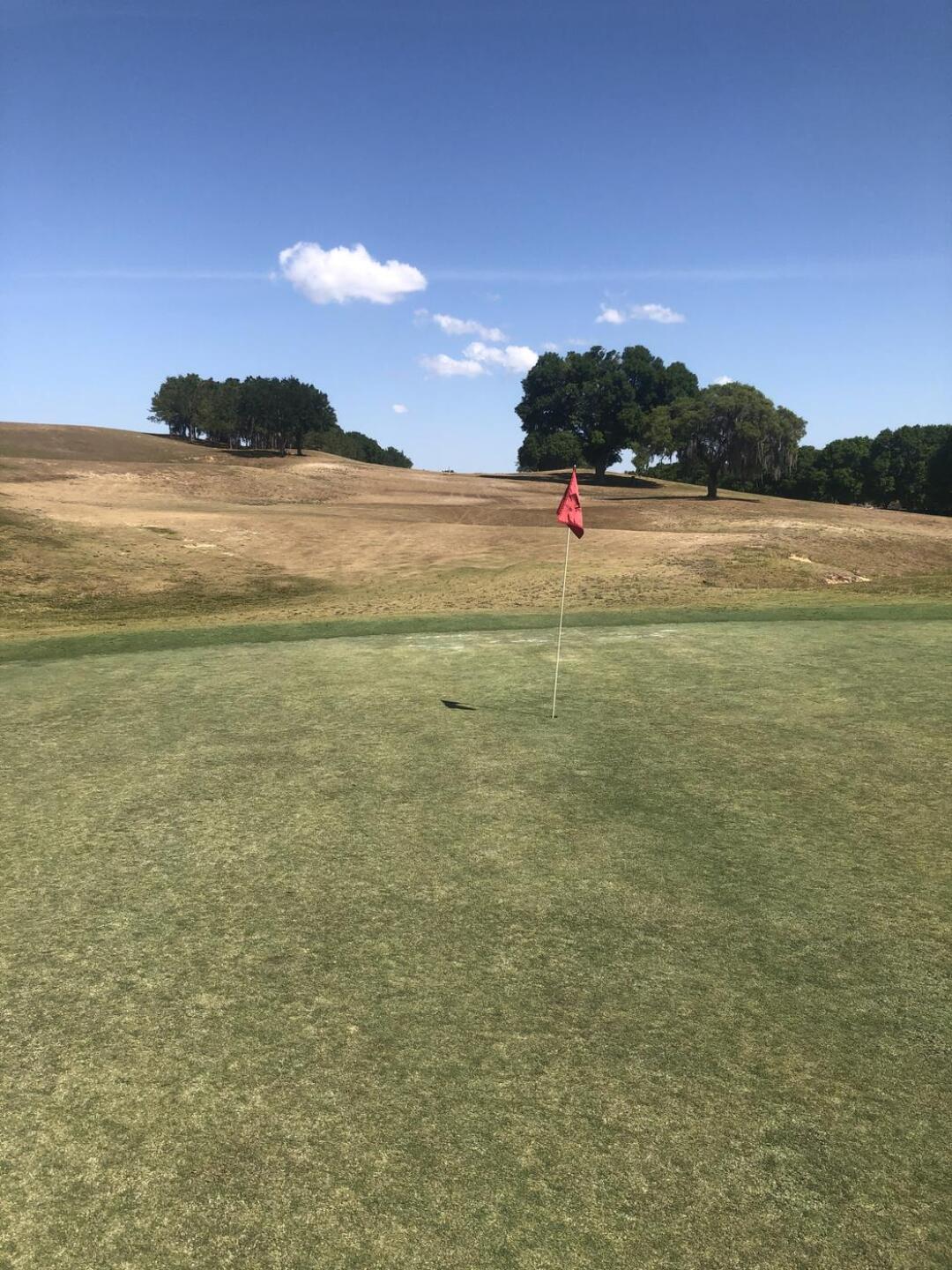 Greens are just as bad (Photo submitted by u314161378145 on 04/08/2021)