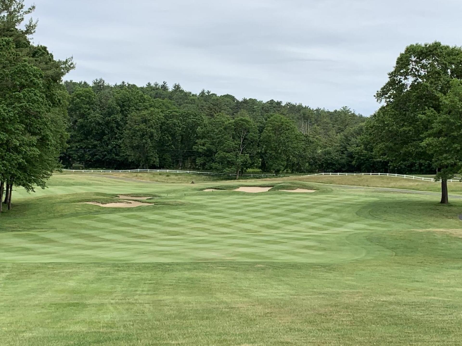 (Photo submitted by gyelton55 on 06/17/2022)