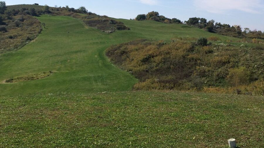 Auman Timbers GC