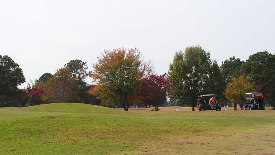 CC of Alabama