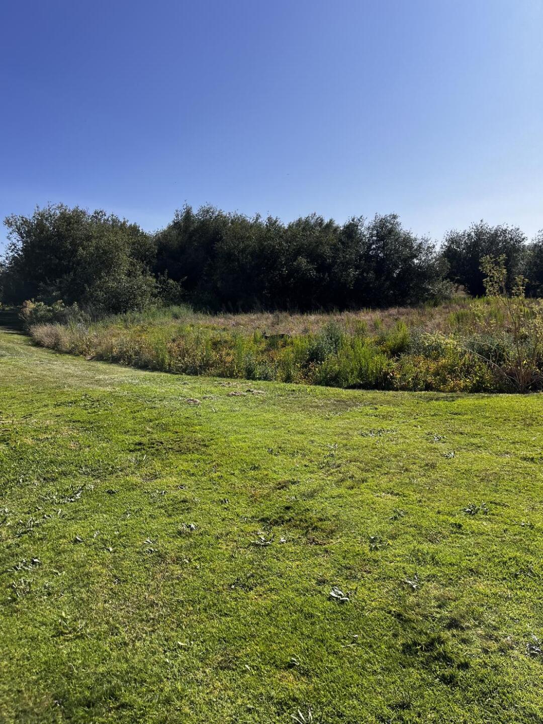 (Photo submitted by 58Qd5moD9Weu78vaxPgz on 06/17/2025)