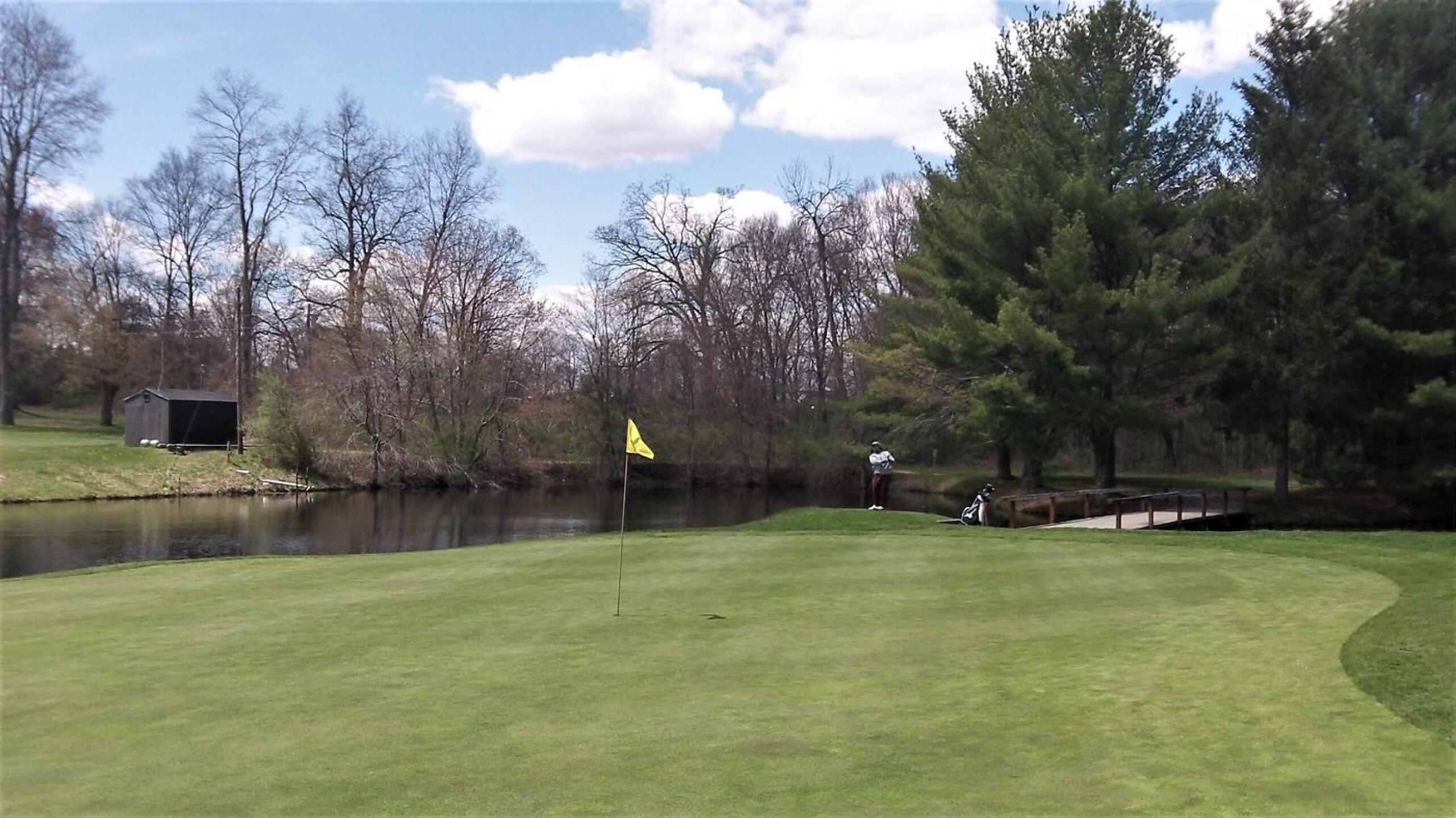 Chanticlair's island green; my son's pitch (from the left flank) (Photo submitted by AptlyLinked on 05/13/2020)