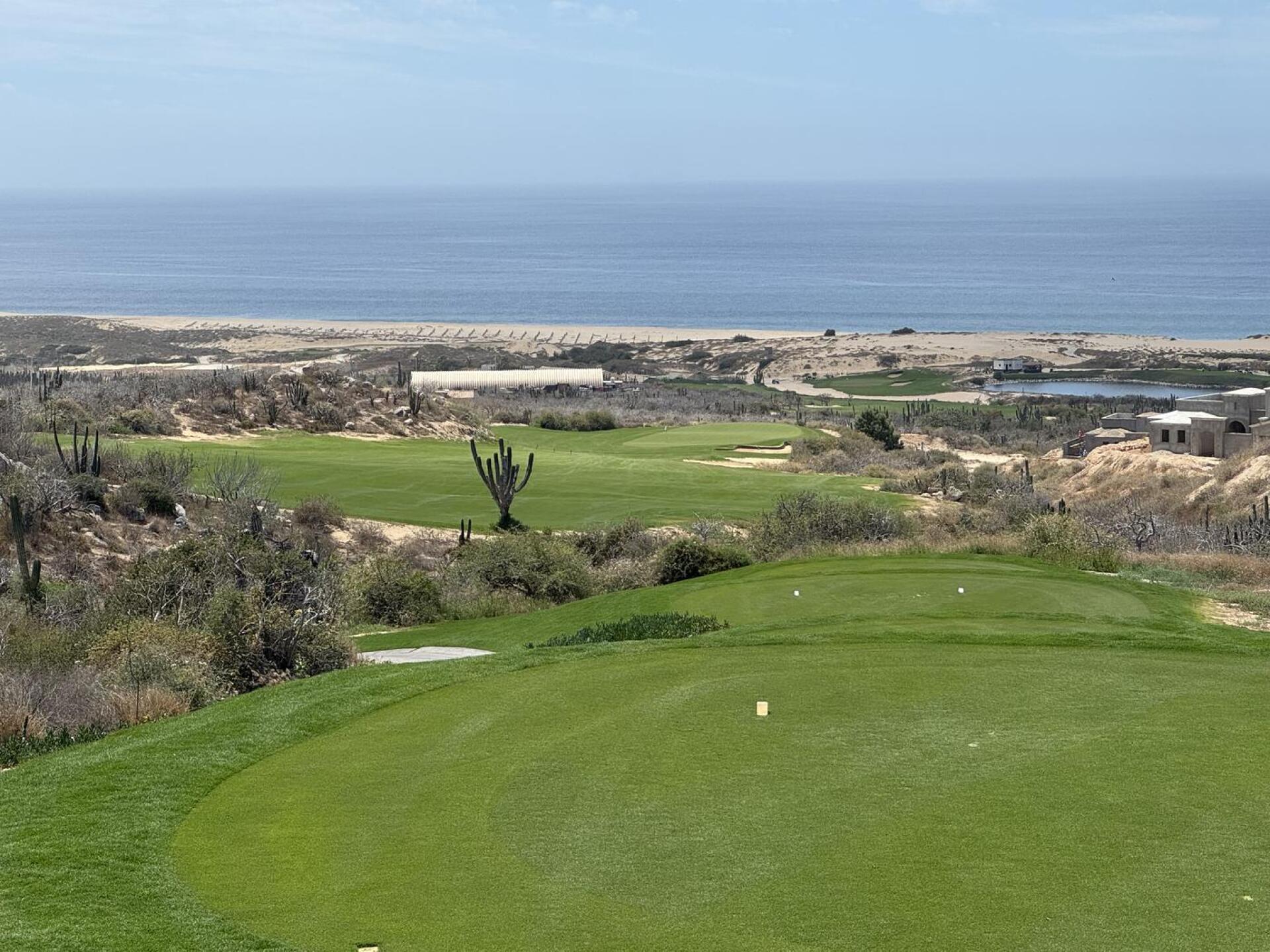 (Photo submitted by sjmartin13 on 04/15/2026)