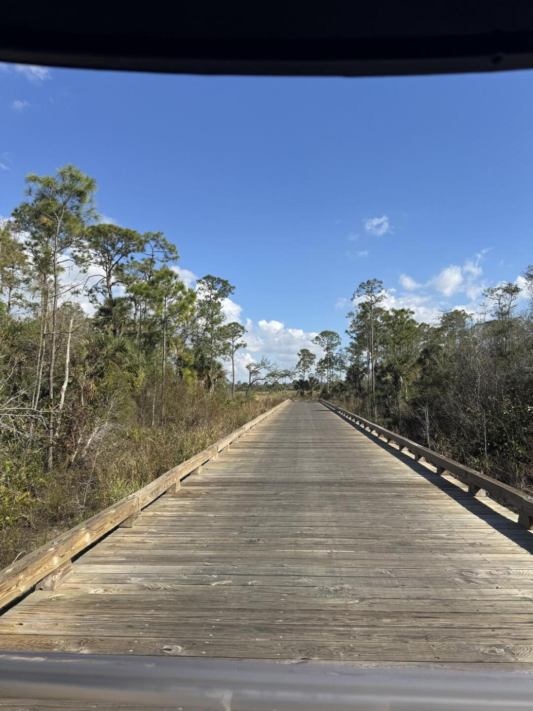 Thru the preserve (Photo submitted by 27wFACwlOkUh0HoGcj01 on 12/18/2024)