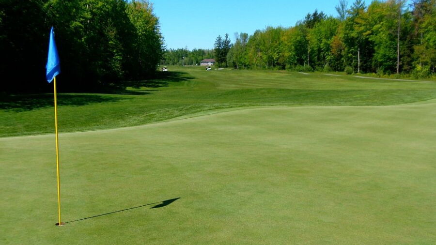 Anderson Links GCC