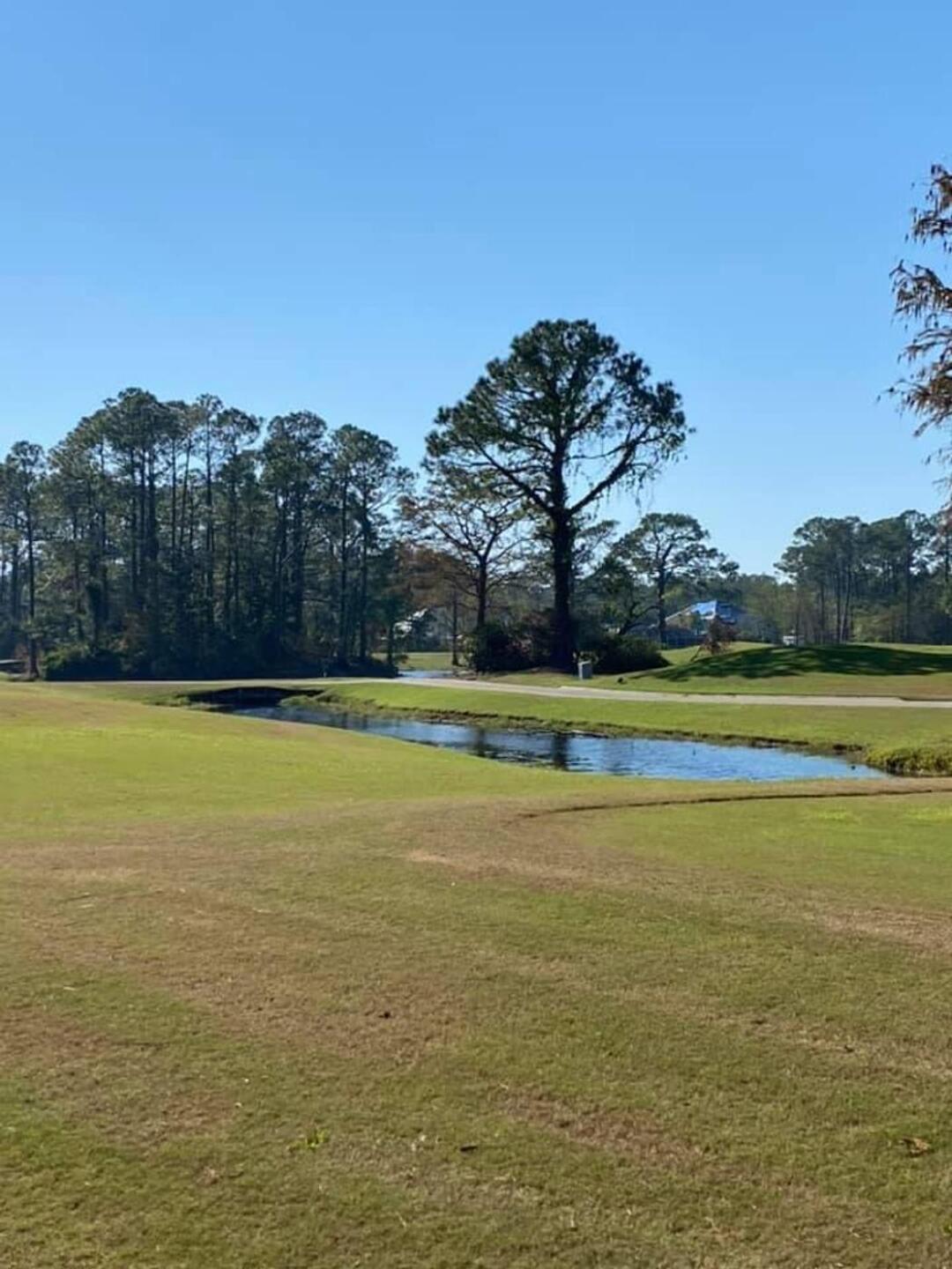 (Photo submitted by u314160973520 on 11/02/2020)