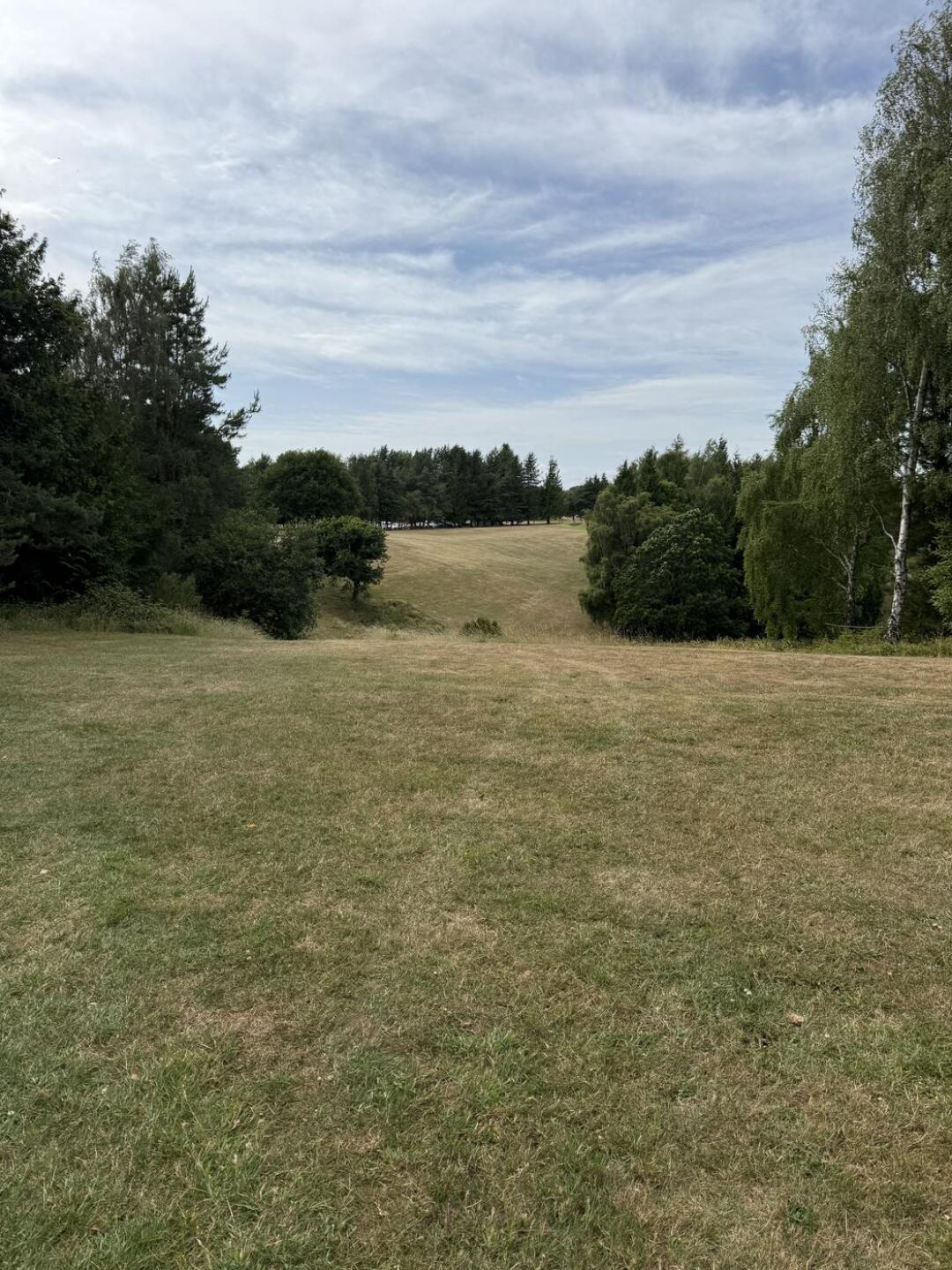 (Photo submitted by mikecardy on 06/28/2025)