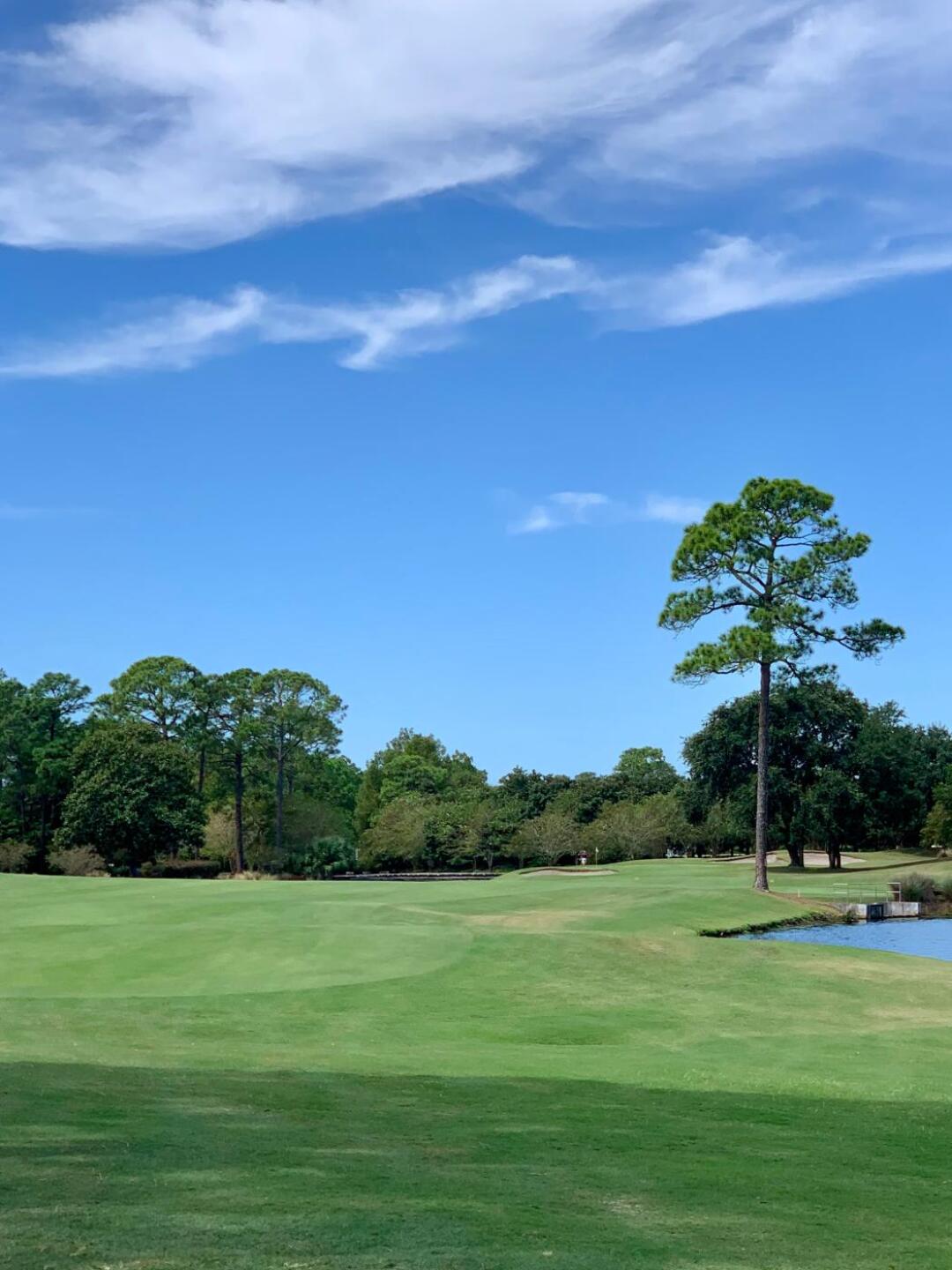 (Photo submitted by MichaelLowe on 09/20/2019)