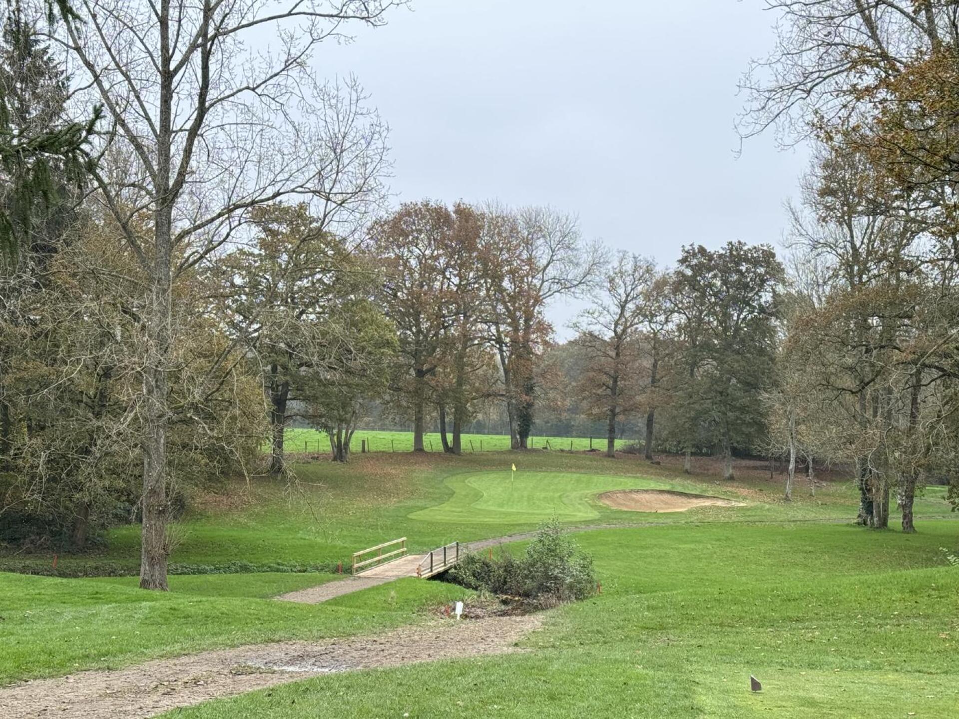 (Photo submitted by martinll on 11/09/2024)