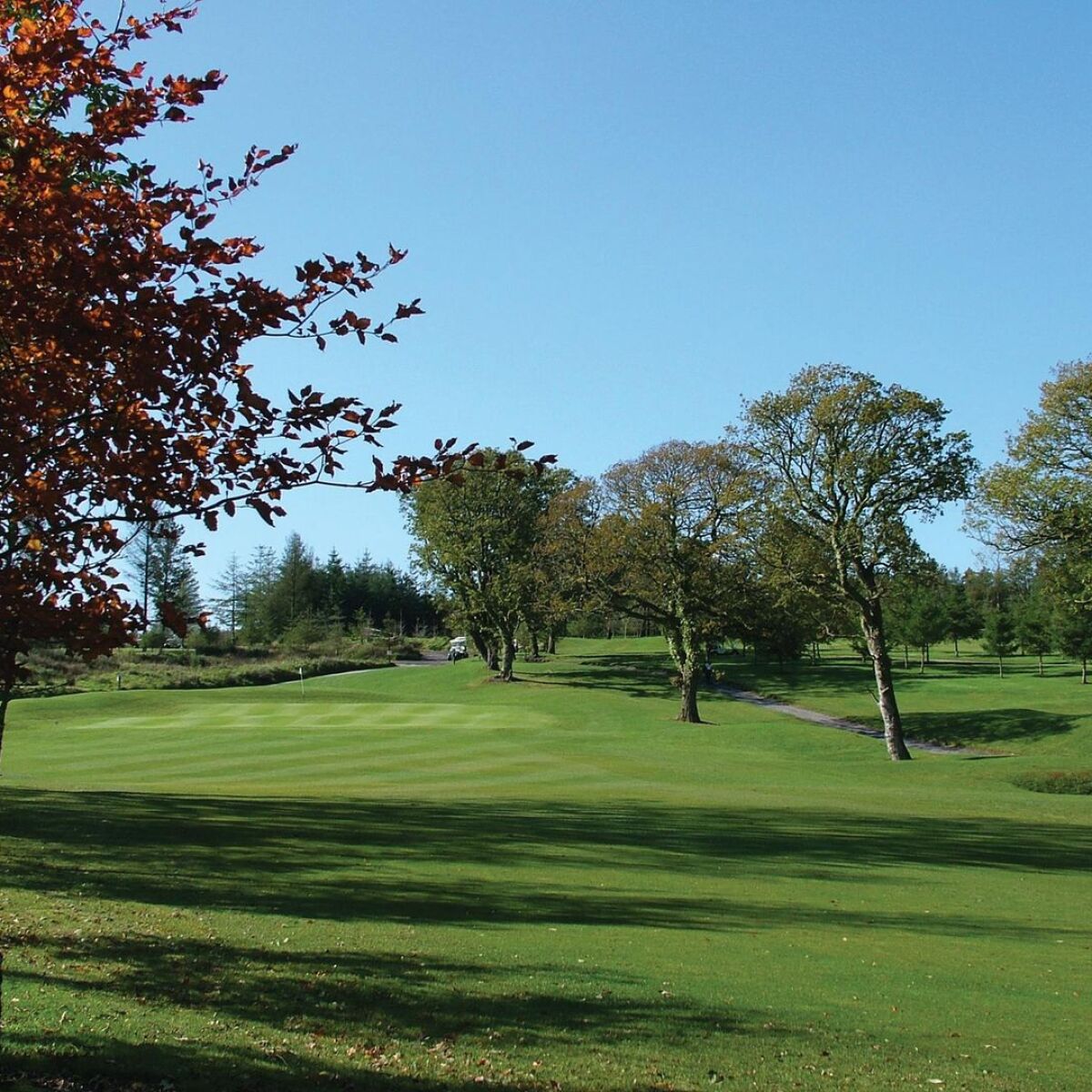 The Manor House Hotel & Ashbury Hotel Ashbury/Pines Course in