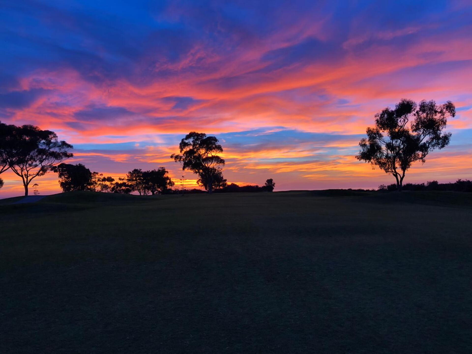 Par 5 #17 (Photo submitted by THEMAN1116 on 11/02/2018)