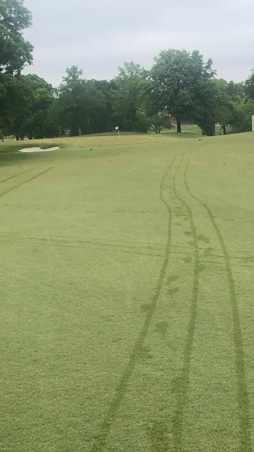 Nice course for walkers. (Photo submitted by Sam Sherstad on 06/02/2020)