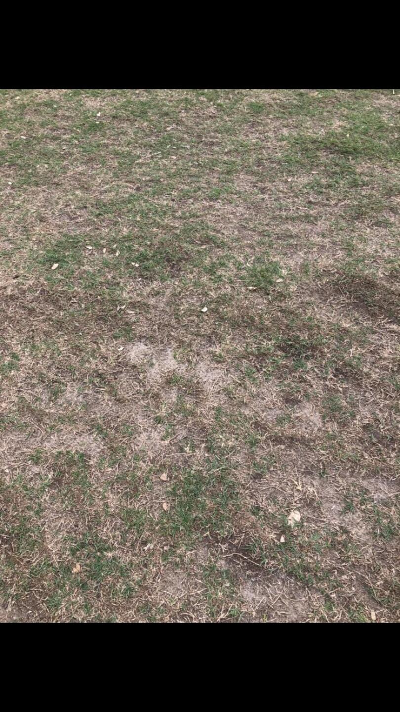 Fairway conditions (Photo submitted by joshsmith12 on 04/24/2019)