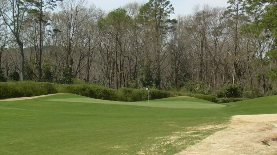 Palmetto GC