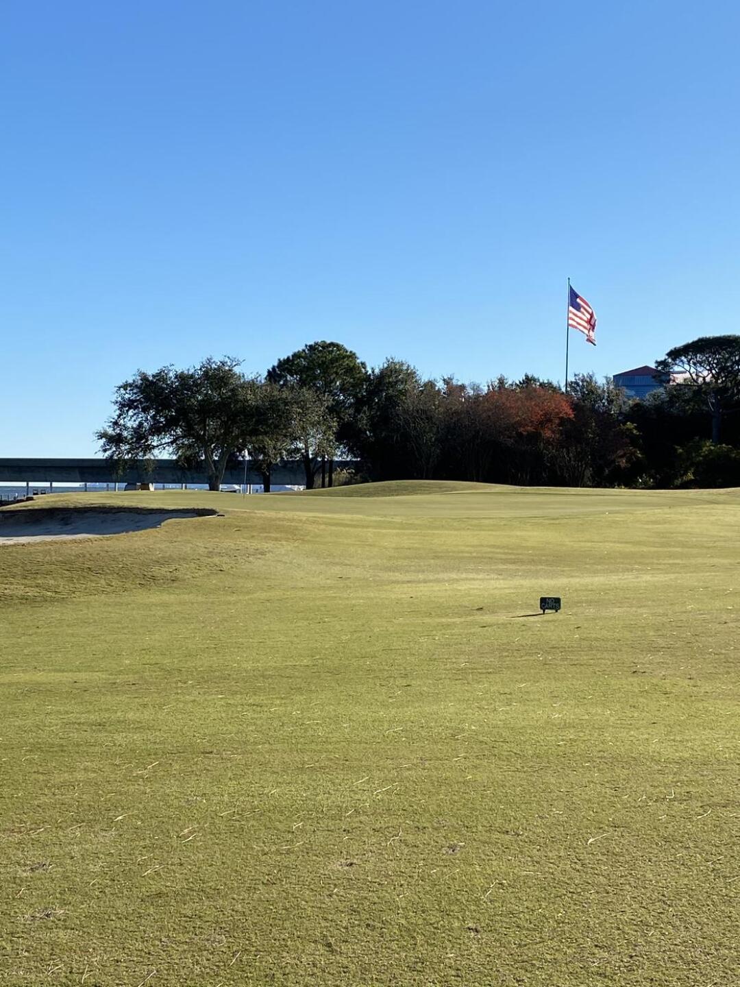 (Photo submitted by Matt6029724 on 12/31/2020)