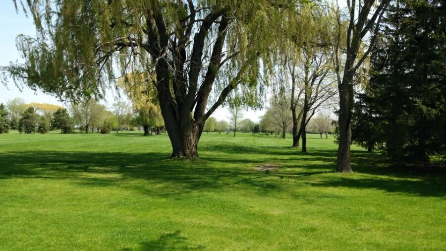 Country View GC