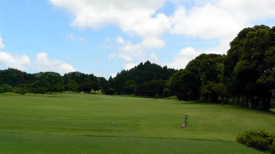 Katsuura GC - Sakura: #8