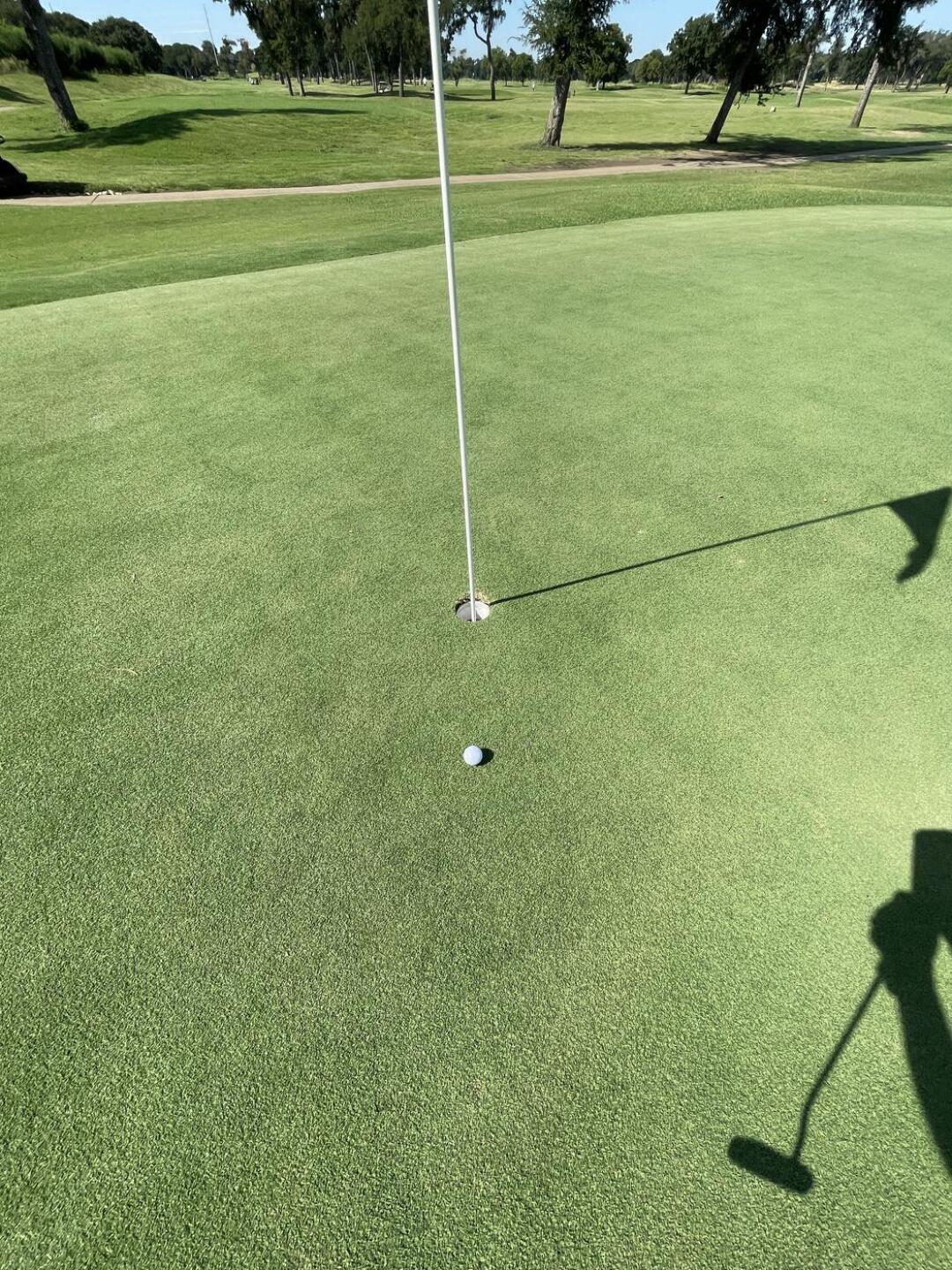 (Photo submitted by u672698474 on 08/19/2024)