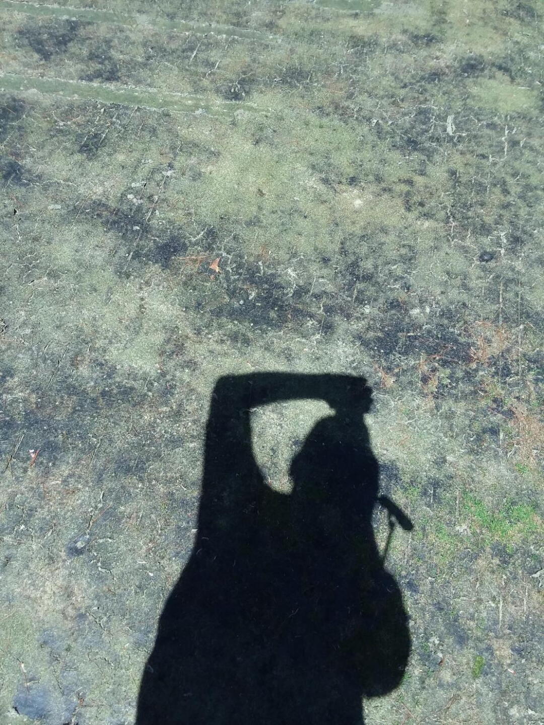 (Photo submitted by u683954120 on 06/09/2019)