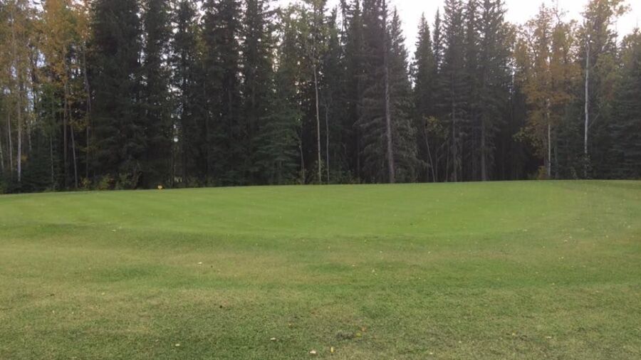 Hines Creek GC: #3