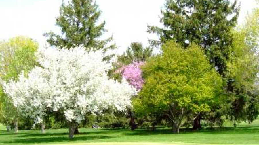 Snag Creek GC