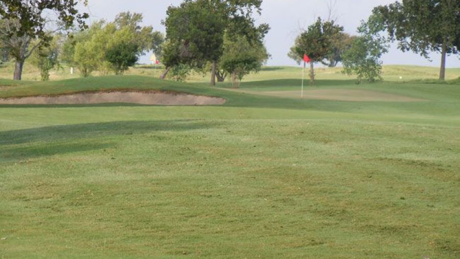 Stonetree GC: #1