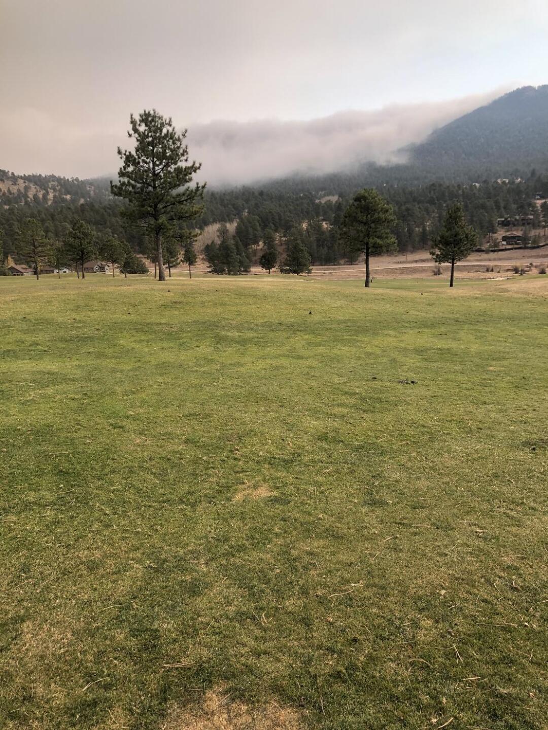 (Photo submitted by KaitlynIbarra on 11/05/2021)