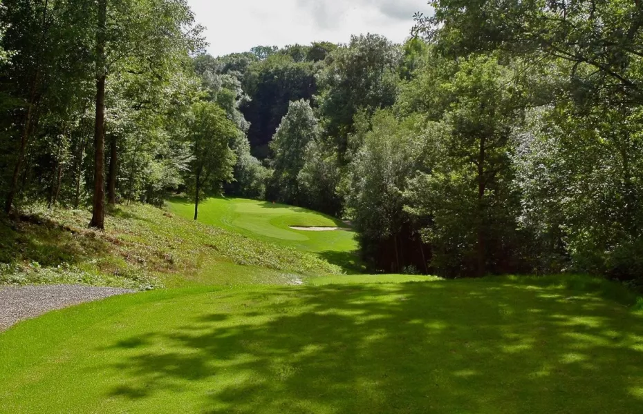 International Gomze GC: #7