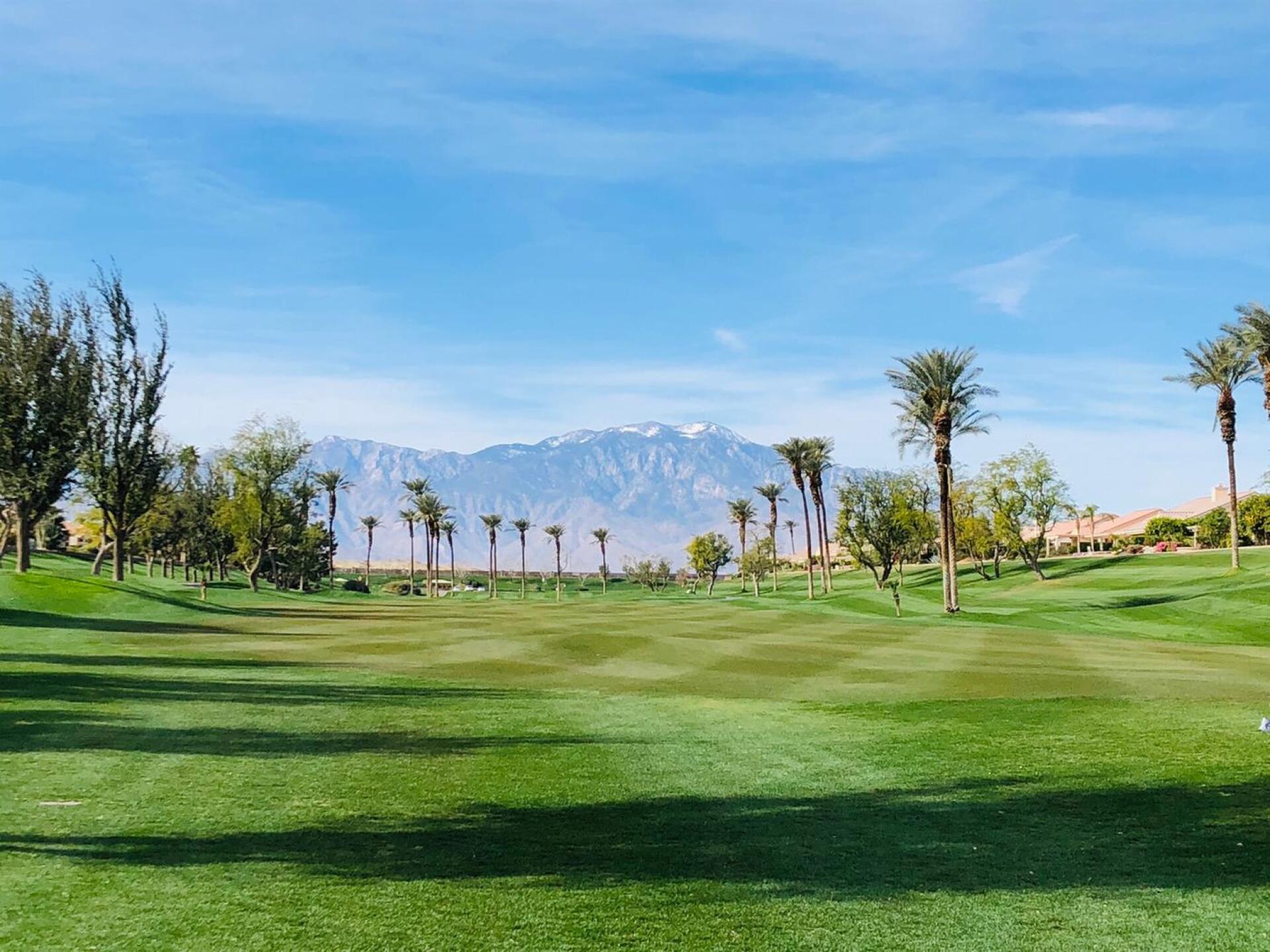 (Photo submitted by u314159775402 on 02/06/2020)