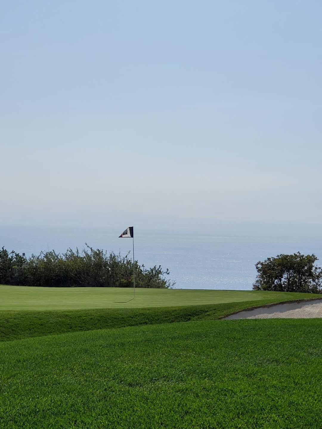 (Photo submitted by tripolirt on 02/11/2021)