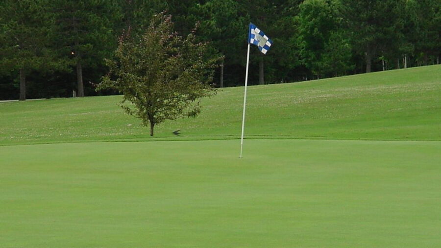 McCauslin Brook GC