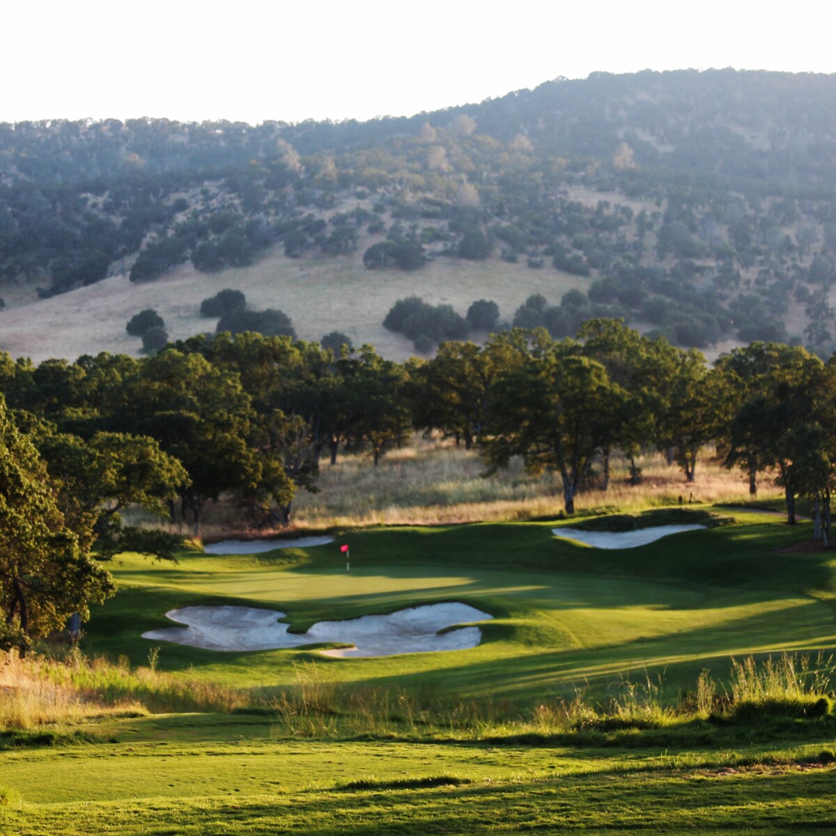 Saddle Creek Resort Northern California's hidden gem in Copperopolis