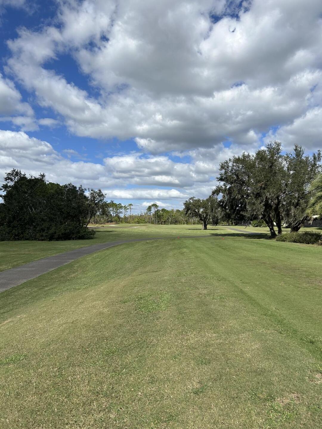 (Photo submitted by dlpetrella on 10/25/2024)