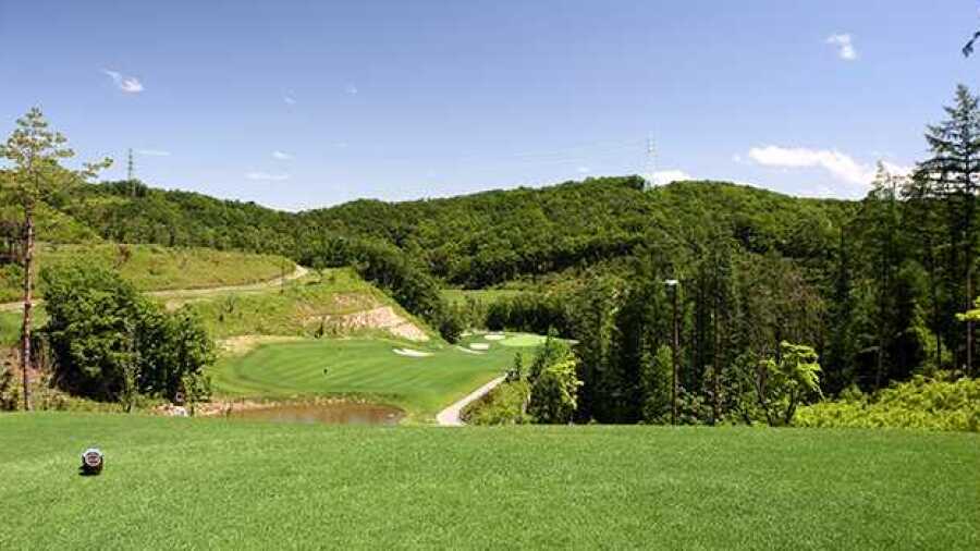 Shinedale CC - Dale: #2