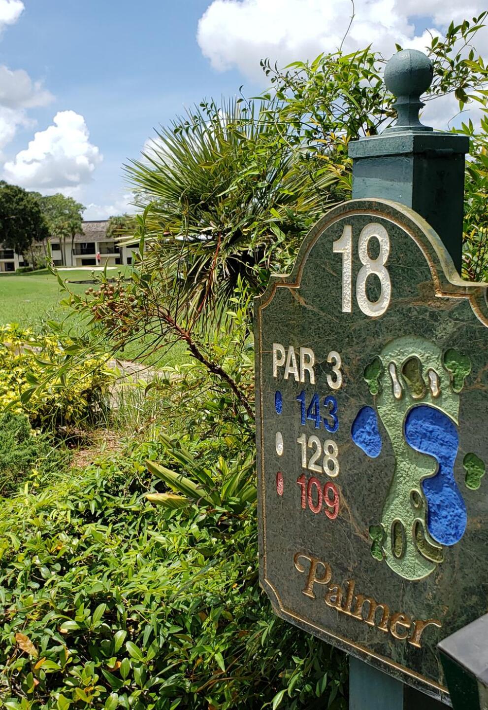 Little glance at 18. (Photo submitted by Thranrod14 on 08/04/2020)