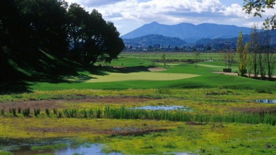 Stone Tree GC