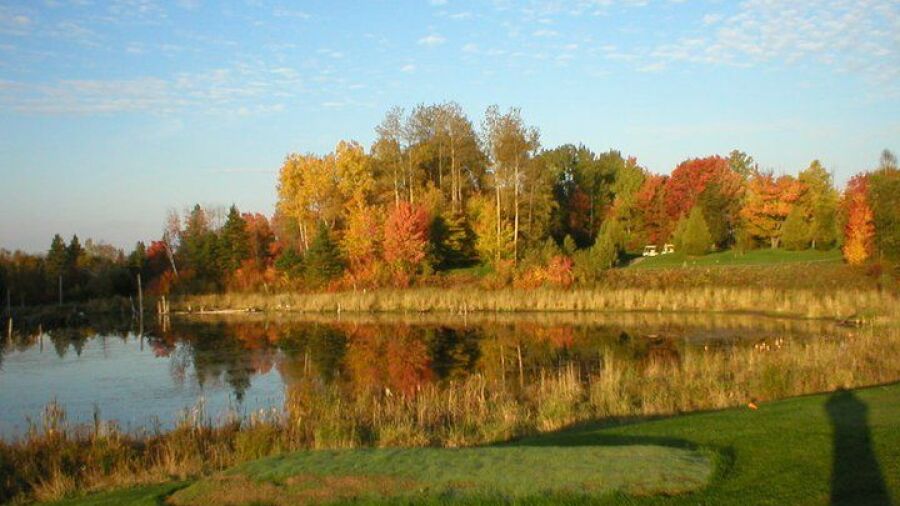 Oaks of Cobden GC