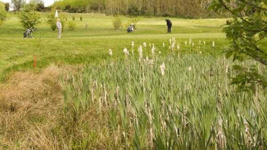 Oernehoej GC