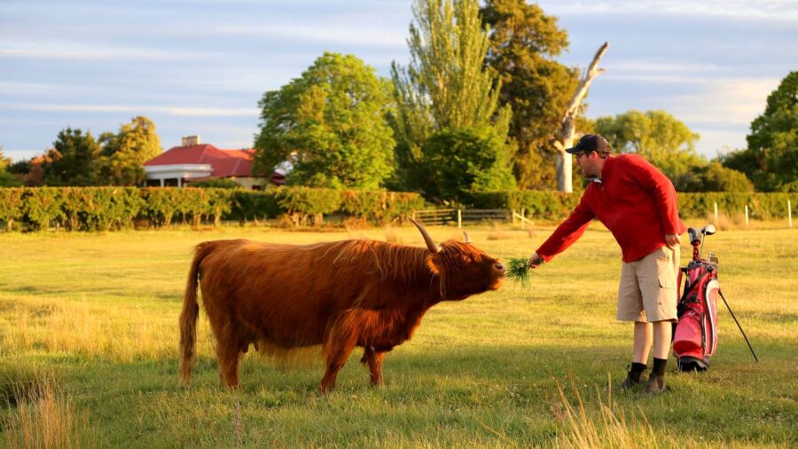 Ratho Farm