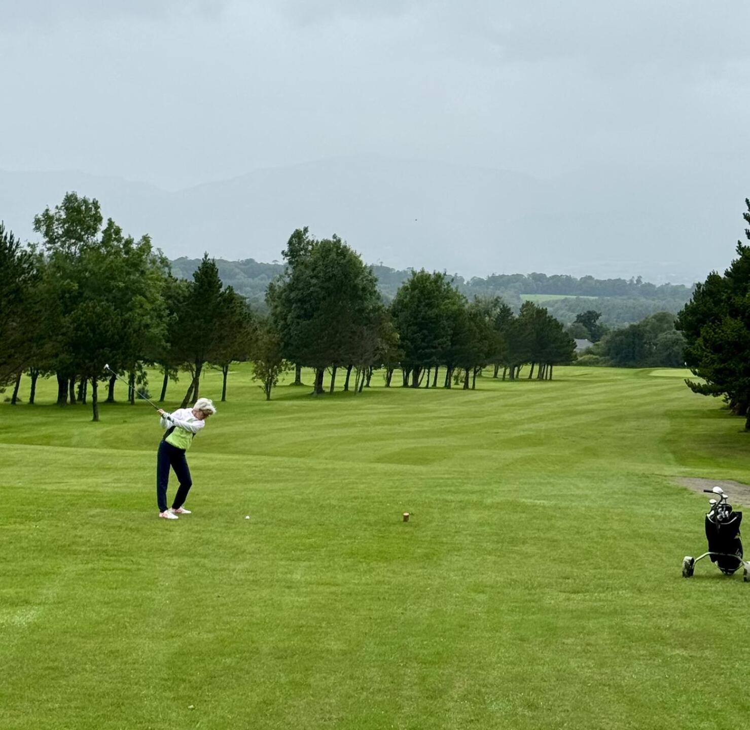 (Photo submitted by UnsdgTg1UqKLZ6GSbKNJ on 07/24/2025)