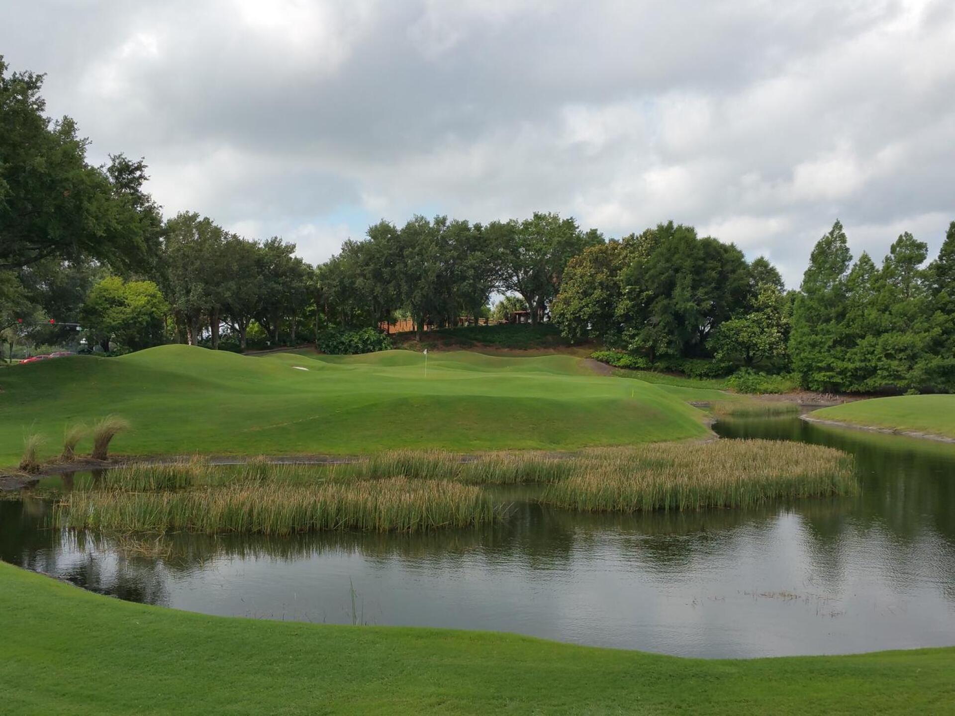 (Photo submitted by Shawn5932249 on 06/08/2015)