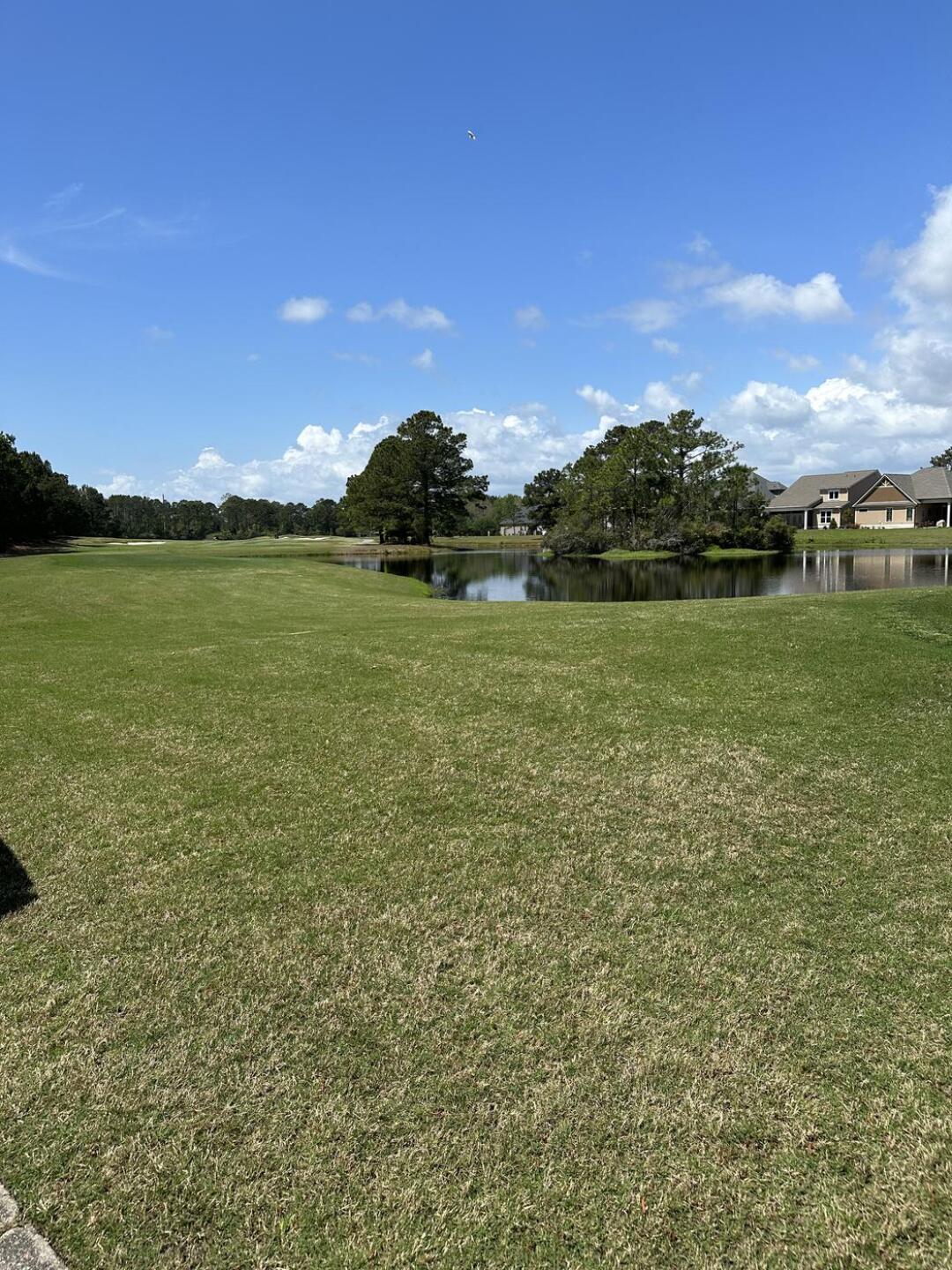 Beautiful! (Photo submitted by Vandenberks on 04/08/2023)