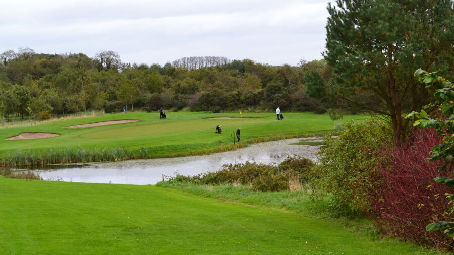 Blackwood Golf Centre - Hamilton: #12