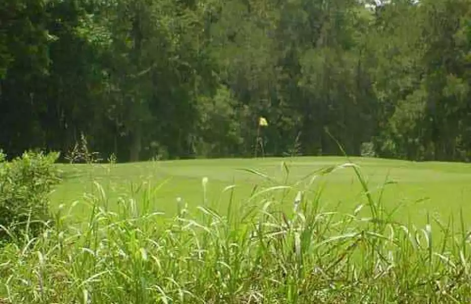 Stephen F. Austin GC